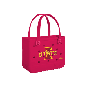 Bitty Bogg Bag - Iowa State Cyclones
